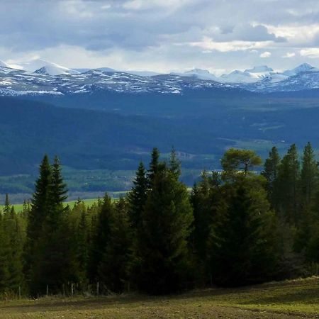 Hostel Tronsvangen Seter Alvdal Zewnętrze zdjęcie