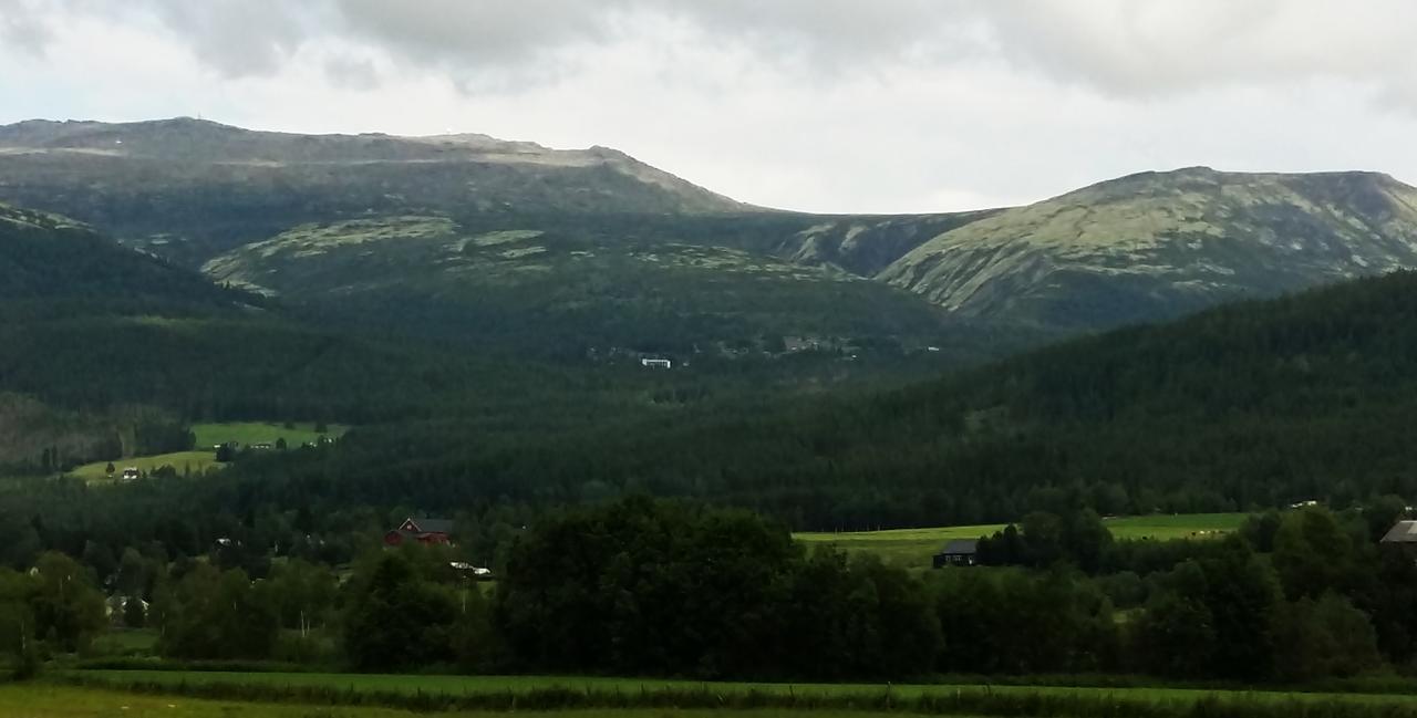 Hostel Tronsvangen Seter Alvdal Zewnętrze zdjęcie