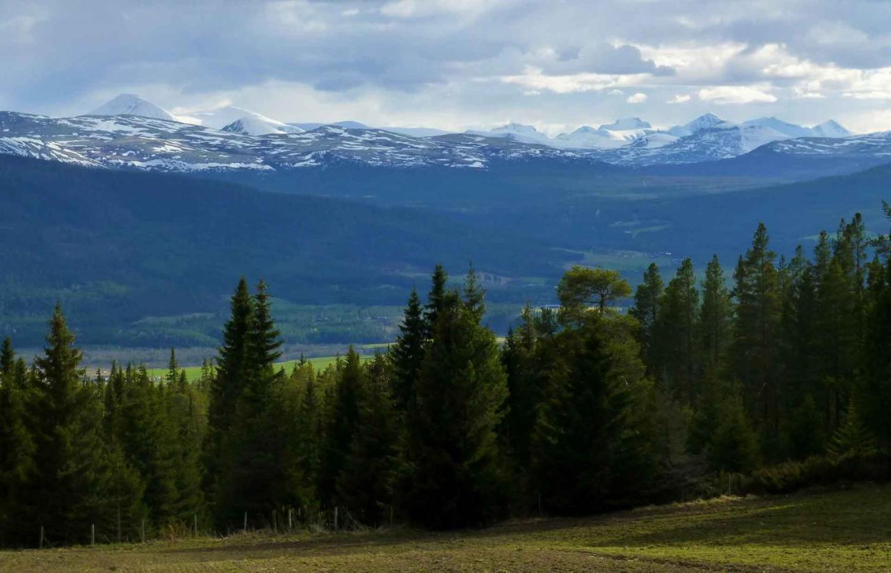 Hostel Tronsvangen Seter Alvdal Zewnętrze zdjęcie